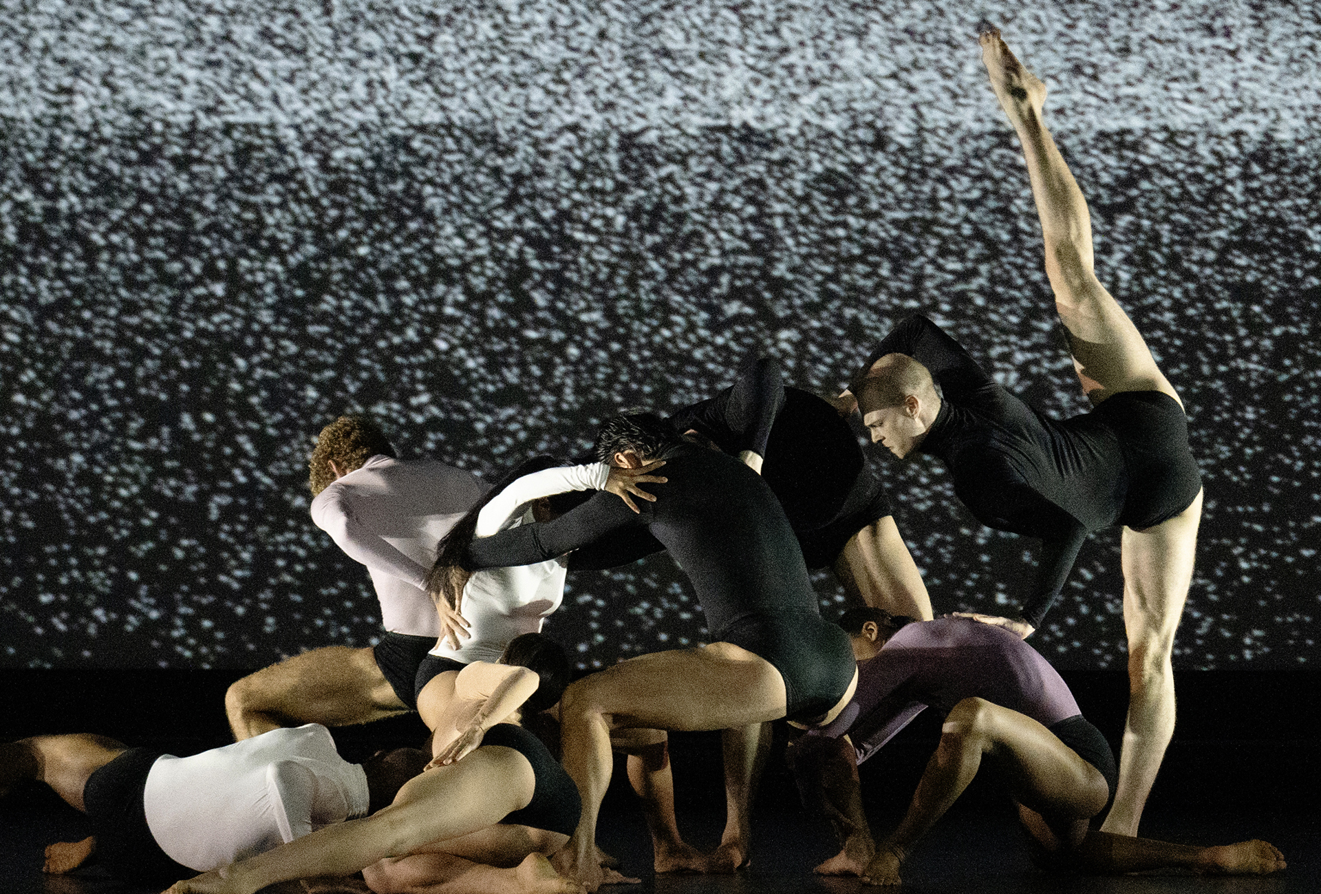 We Humans Are Movement, Biennale College Danza dancers and Company Wayne McGregor. Photo credit: Ravi Deepres, courtesy la Biennale di Venezia, 2024 We Humans Are Movement, Biennale College Danza dancers and Company Wayne McGregor. Photo credit: Ravi Deepres, courtesy la Biennale di Venezia, 2024