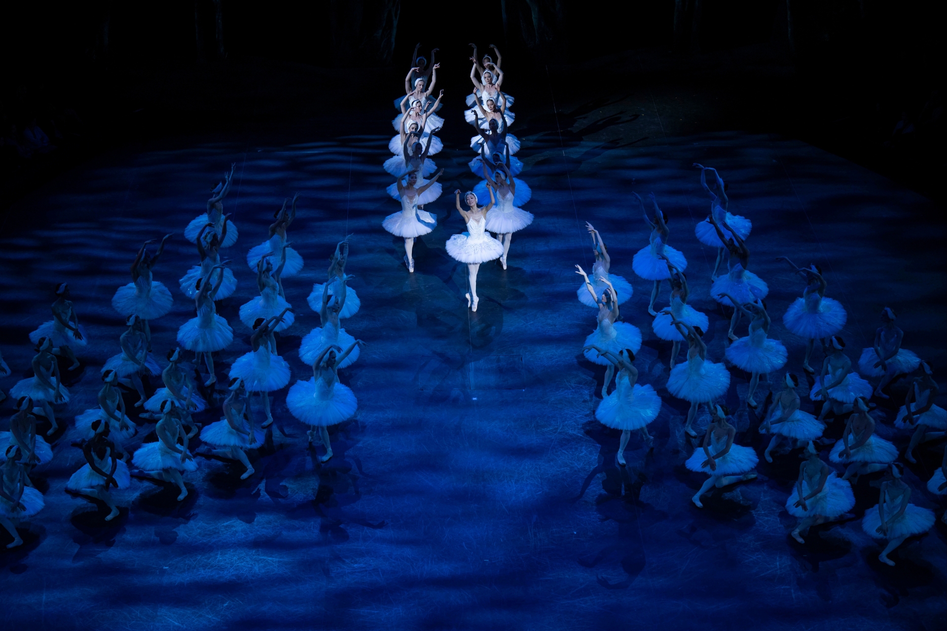 English National Ballet dancers in Derek Deane’s Swan Lake in-the-round © Ian Gavan English National Ballet dancers in Derek Deane’s Swan Lake in-the-round © Ian Gavan