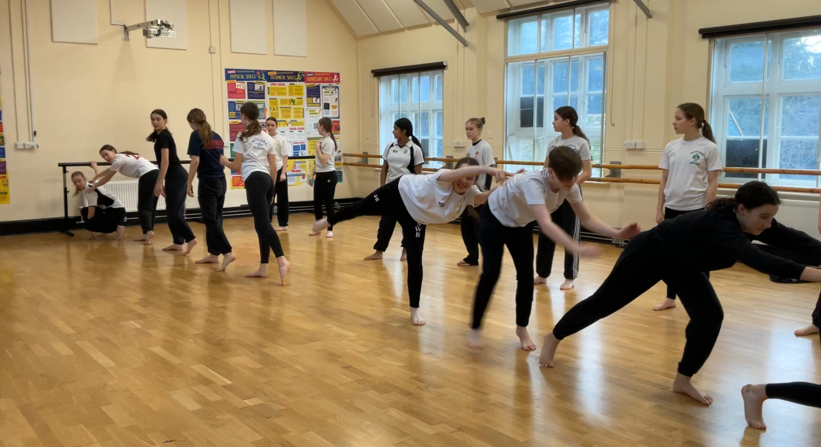 Exploring behaviour in dance lessons Exploring behaviour in dance lessons